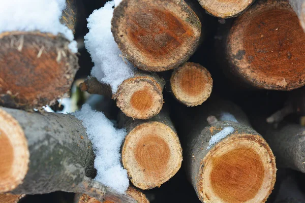 Güzel Dallar Dallar Yakacak Odun Şömineyi Yakmak Için Doğal Ahşap — Stok fotoğraf
