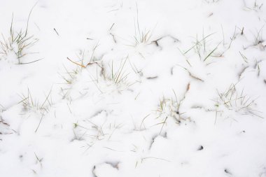 Aralığın sonunda ağaçların kuru yaprakları, kuru çimenler ve beyaz kabarık Noel karıyla kaplı zemin..