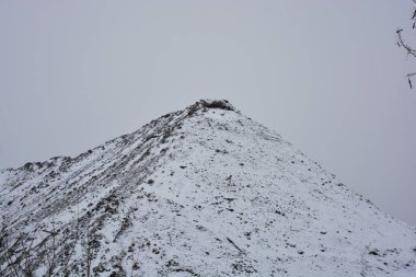 Aralığın sonunda ağaçlar ve çalılarla kaplı, beyaz pofuduk karla kaplı, yıpranmış bir yol boyunca büyük, yüksek bir dağ..