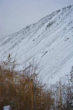Aralığın sonunda ağaçlar ve çalılarla kaplı, beyaz pofuduk karla kaplı, yıpranmış bir yol boyunca büyük, yüksek bir dağ..