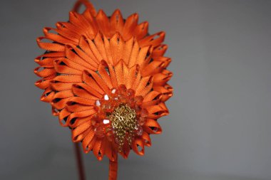 Turuncu çizgilerle süslenmiş ve zarpt şeklinde serilmiş ince, kadınsı bir saç bandı. Beyaz arka planda bulunan Ukrayna turuncu süsü. 