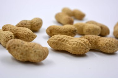 Lezzetli ve kullanışlı fındıklar, kabuğunda kurumuş kahverengi fıstıklar, kabuk beyaz arka planda reddedildi.. 