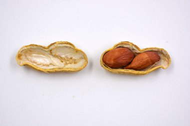 Lezzetli ve kullanışlı fındıklar, kabuğunda kurumuş kahverengi fıstıklar, kabuk beyaz arka planda reddedildi.. 