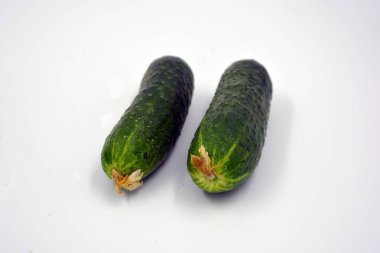 Fresh delicious ripe natural green cucumbers growing on a Ukrainian garden, vegetable garden, field. 