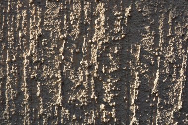 İnşaat malzemeleri, duvarları tamamlamak için malzemeler. Kabuk böceği, shirpa kumu kahverengimsi gri boyayla boyanmış, kabuklar, çıkıntılar.