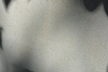 Construction and renovation work, plastering load-bearing street walls in sunlight. The white walls are coated with rough street primer with long micro-cracks throughout the surface and background.