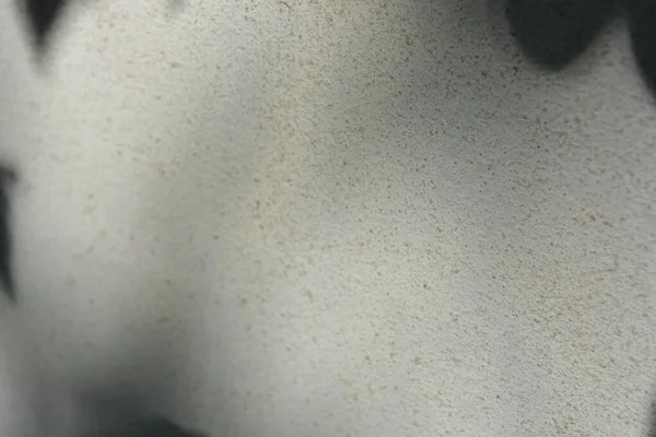 Construction and renovation work, plastering load-bearing street walls in sunlight. The white walls are coated with rough street primer with long micro-cracks throughout the surface and background.