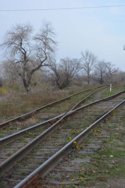 Old railway line with thick, wide metal rails, old wooden decks, sleepers runs along a park area with old deciduous trees and bushes without leaves in late autumn.