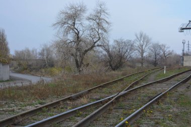 Old railway line with thick, wide metal rails, old wooden decks, sleepers runs along a park area with old deciduous trees and bushes without leaves in late autumn.