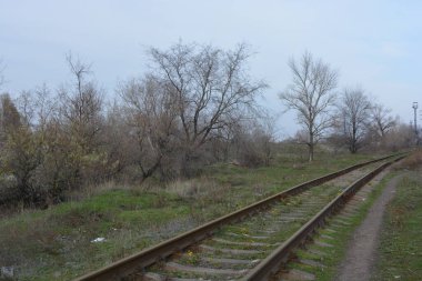 Old railway line with thick, wide metal rails, old wooden decks, sleepers runs along a park area with old deciduous trees and bushes without leaves in late autumn.