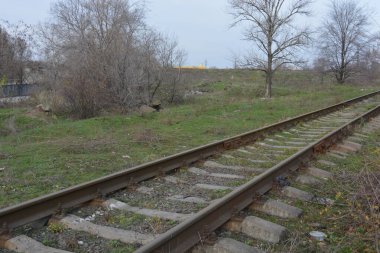 Old railway line with thick, wide metal rails, old wooden decks, sleepers runs along a park area with old deciduous trees and bushes without leaves in late autumn.