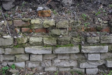 Açık gri bir duvar, eski bir bina, yeşil yosun ve nemli bir çit. Açık gri, kırmızı tuğlalar, güzel, şık tuğlalar..