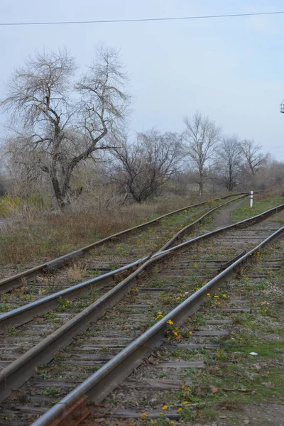 Old railway line with thick, wide metal rails, old wooden decks, sleepers runs along a park area with old deciduous trees and bushes without leaves in late autumn.