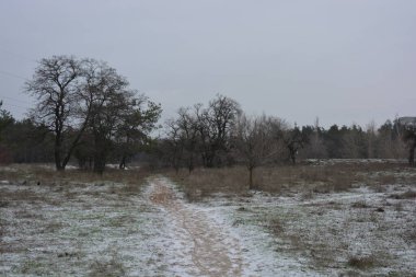 Aralığın ortasında ince bir kar tabakası, eski yeşil çamlar ve koyu kahverengi yapraksız ağaçlarla kaplı küçük bir kış ormanının güzel ve narin doğası. İnce, geniş kumlu yollar, donmuş yeşil çimenler, ağaçların altındaki beyaz kar üzerinde uzanan çam kozalakları..