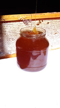 Arı balı kavanozu çerçevenin arka planında bal peteği ile