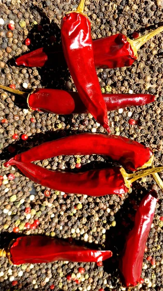 Chili Peppers Pepper Base — Stock Photo, Image