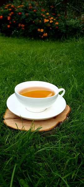 Petite Tasse Tisane Avec Des Fleurs Dans Jardin — Photo