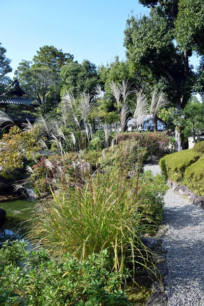 Grass in Yoshikien Garden, Nara, Japan — Stockfoto