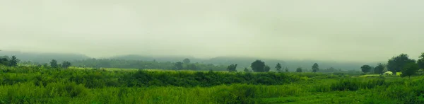 Zona rural da Tailândia — Fotografia de Stock