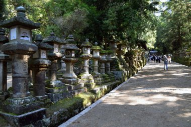 Taş fenerler Nara Parkı