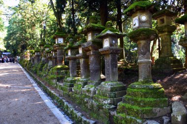 Taş fenerler Nara Parkı