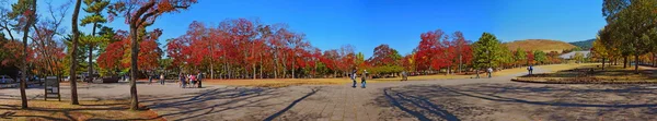 奈良の秋の間にオープン スペース — ストック写真