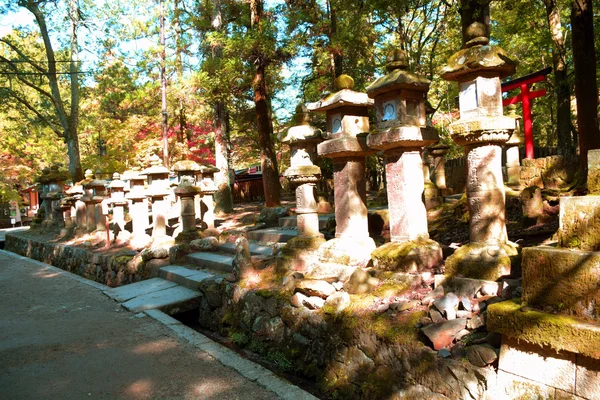 Кам'яні ліхтарі у Nara парк — стокове фото