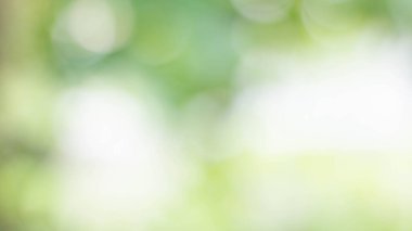 Soyut renkli bokeh ışık arkaplanı