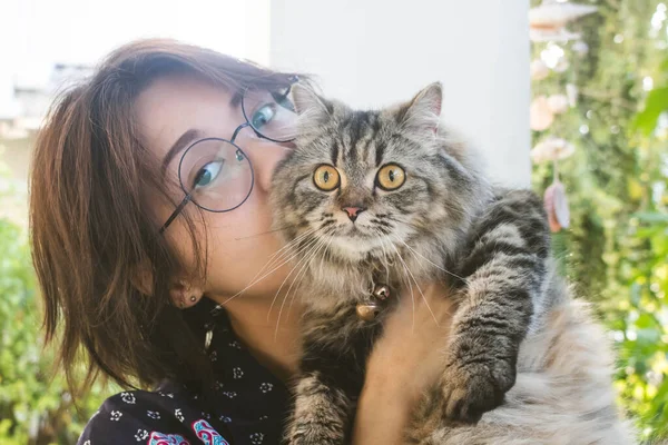 Close Jovem Mulher Asiática Brincando Com Seu Gato Persa Relações — Fotografia de Stock