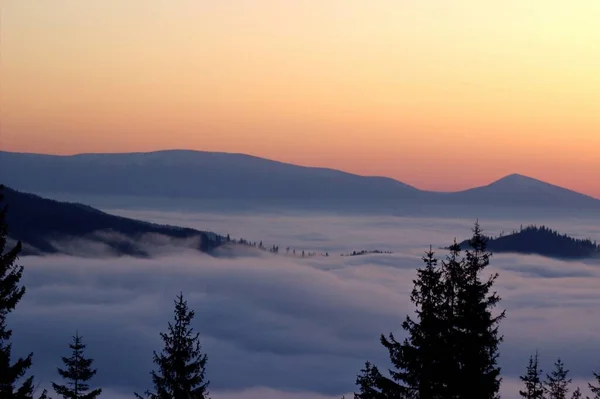 Morgendämmerung Einem Hochtal Wolkenmeer Ein Erstaunlicher Seltener Und Schöner Anblick — Stockfoto