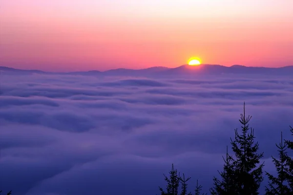 Morgendämmerung Einem Hochtal Wolkenmeer Ein Erstaunlicher Seltener Und Schöner Anblick — Stockfoto