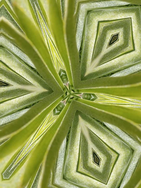 Лайм Зелена Рослина Абстрактна Симетрія — стокове фото