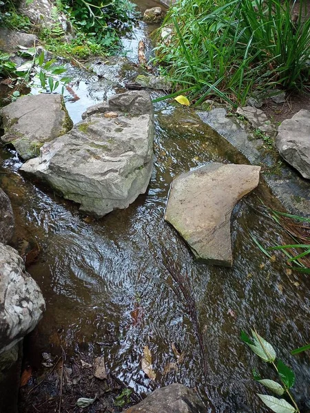 stepping stones rocks by side river