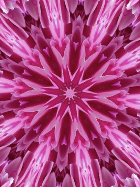 Soyut Arkaplan Çok Renkli Duvar Kağıdı Basit Tasarım