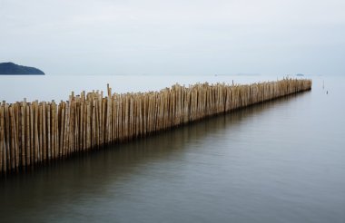 Bambu bölümü