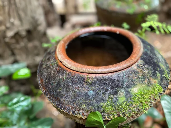 Große Tongefäß Wasserschale Oder Glas Aus Ton Mit Moos Bedeckt — Stockfoto