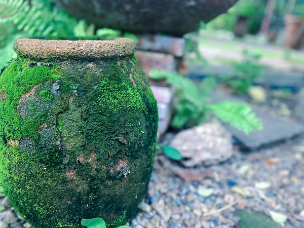 Frasco Barro Grande Tazón Agua Frasco Hecho Arcilla Cubierta Musgo — Foto de Stock