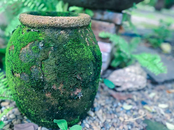 Große Tongefäß Wasserschale Oder Glas Aus Ton Mit Moos Bedeckt — Stockfoto