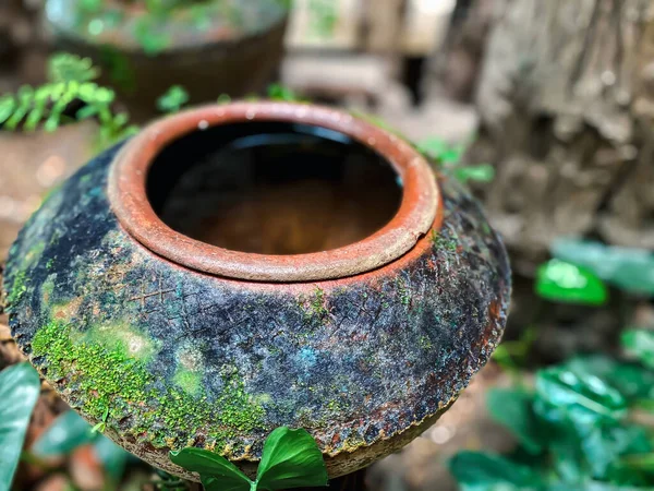 Велика Земляна Банка Водяна Чаша Або Баночка Глини Покрита Мохом — стокове фото