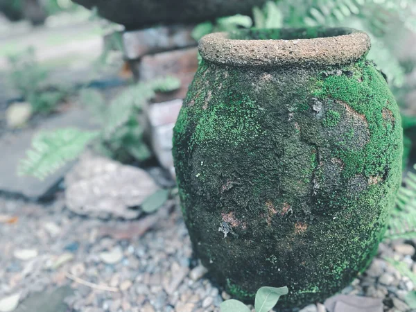 Große Tongefäß Wasserschale Oder Glas Aus Ton Mit Moos Bedeckt — Stockfoto