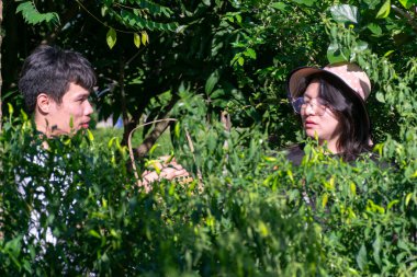 İki Taylandlı LGBTQ arkadaşı rahatlama akşamında bahçede taze biber hasat ediyorlar. Arkadaşlık doğası ve basit neşeli yaşam tarzını gösteriyorlar.