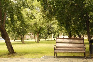 Yaz yalnızlığı bir park bankı