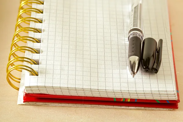 钢笔和笔记本在笼子里的一个页面 — 图库照片