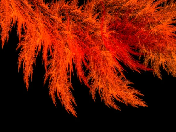 Абстрактное фрактальное перо - цифровое изображение — стоковое фото