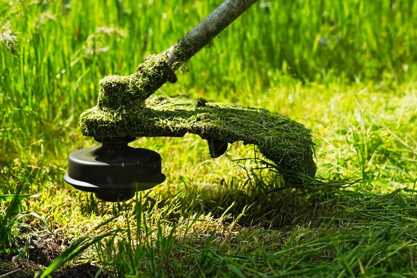 Gasoline lawn trimmer mows juicy green grass — Stock Photo, Image