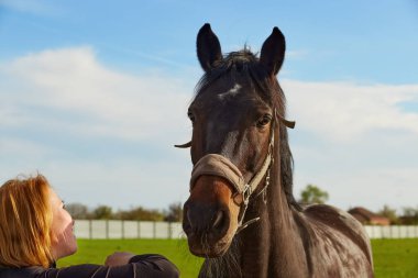Kız güneşli bir günde atla iletişim kurar.