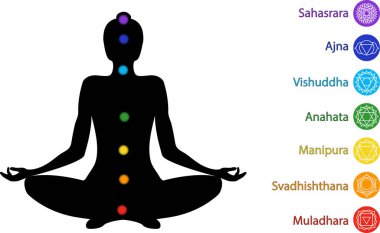 Yoga asana vektör illüstrasyonunda kadın silueti