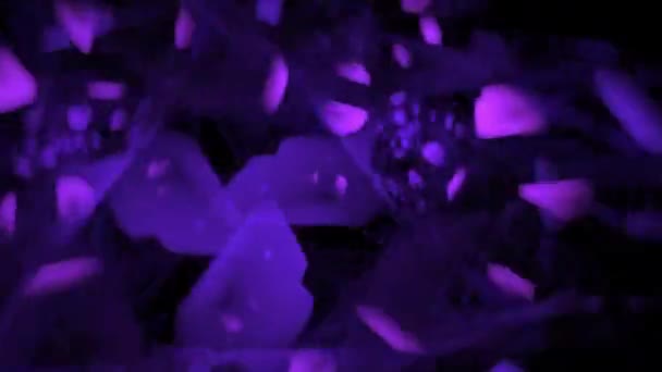 Abstrakte fliegende verschwommene rote und lila Formen — Stockvideo