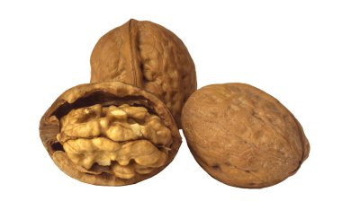 Beyaz arka planda üç Ceviz