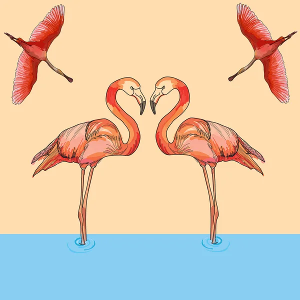 Flamingolar illüstrasyon uçuş ve su
